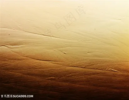 金黄色金属背景图片