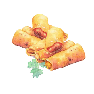 荠菜馅儿春卷手绘插画
