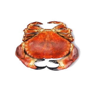 螃蟹(10)海鲜超市商品红酒白底图免抠实物摄影png格式图片透明底