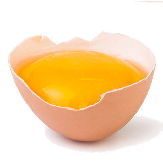 鹌鹑蛋 (超市商品白底图免抠实物摄影png格式图片透明底013