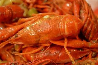 龙虾图片-第7张