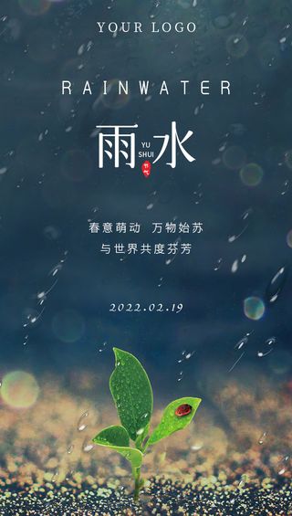 雨水 雨水节气简约海报