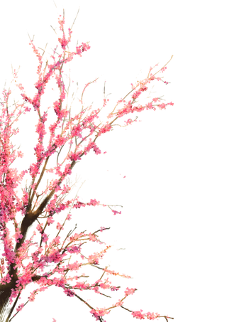 春天浪漫粉红色樱花手绘樱花梅花桃花花朵图片PNG免扣素材
