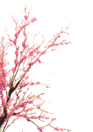 春天浪漫粉红色樱花手绘樱花梅花桃花花朵图片PNG免扣素材