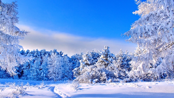 高清雪山雪景