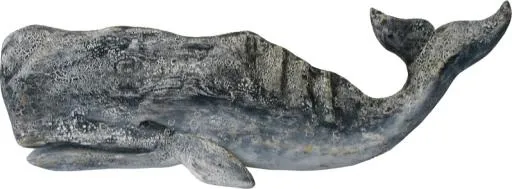 抹香鲸 PNG免抠(798x295)