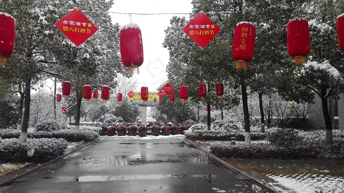 安徽老家酒业八宝春