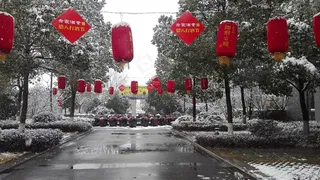 安徽老家酒业八宝春