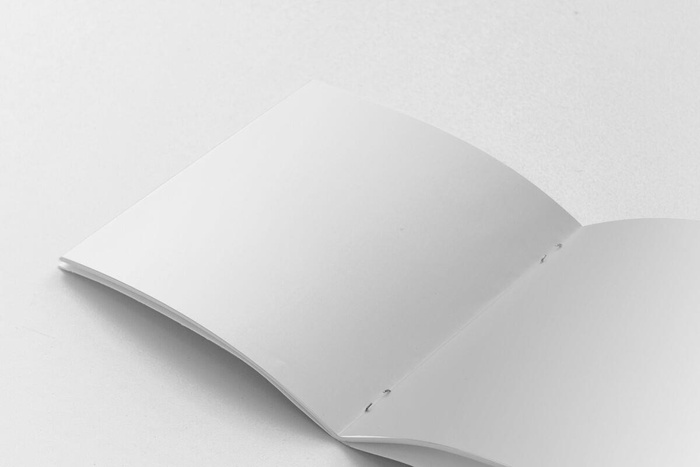 产品画册提案效果样机模板