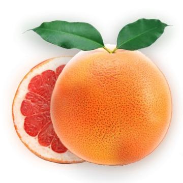 葡萄柚 PNG免抠(360x360)