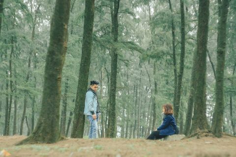 情侣写真风格摄影图