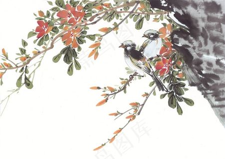 国画花鸟系列摄影图片