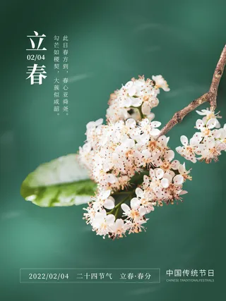 24节气立春春季新春春天海报模板PSD分层设计素材源文件模板