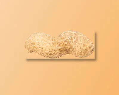 双粒花生坚果免扣 双粒花生坚果免扣