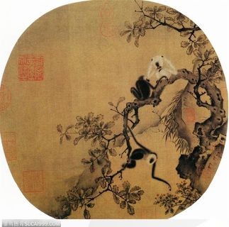 花鸟篇-树上的长臂猿