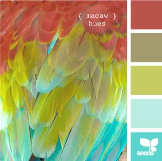 家禽鸟类配色色卡色彩搭配