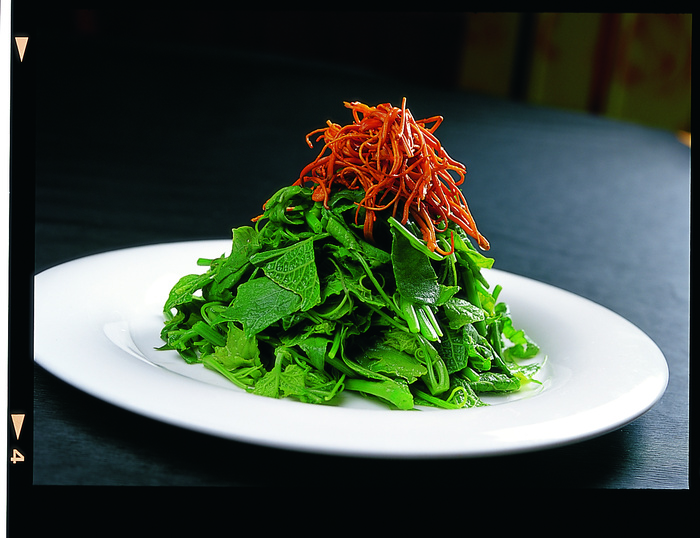 LCSC0253虫草龙须菜