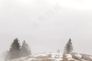 迷雾雪景图片