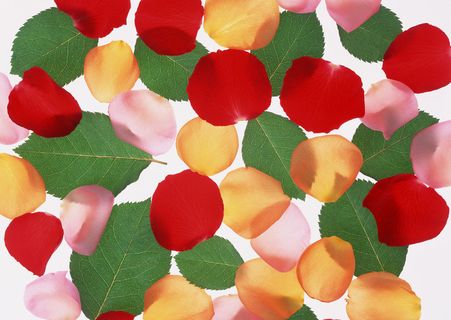 花团锦簇绿叶和花瓣