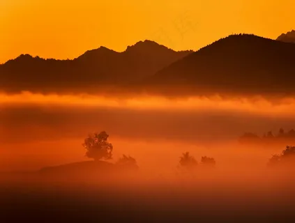 黄色古风唯美风景图片