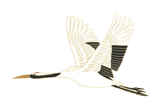 中国风古典中式国潮风手绘飞鹤图案仙鹤装饰素材PNG免抠插画元素