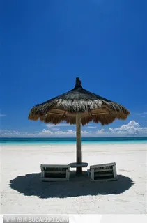 马尔代夫休闲坐