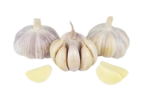 大蒜头 (6)超市商品白底图免抠实物摄影png格式图片透明底