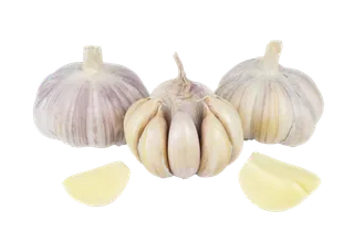大蒜头 (6)超市商品白底图免抠实物摄影png格式图片透明底