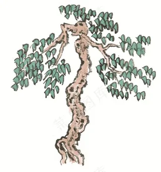 古树设计图片素材