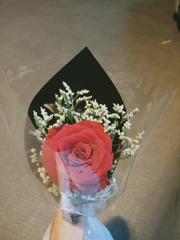 玫瑰花的芬芳