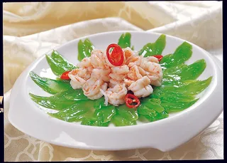 95LC-220凉瓜虾仁