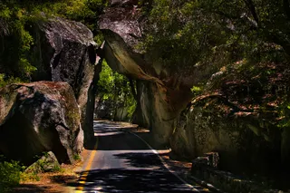 高清森林小路图片下载