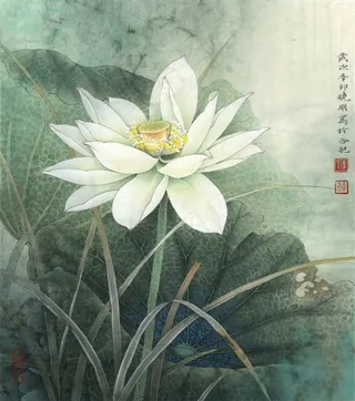 清雅荷韵工笔画