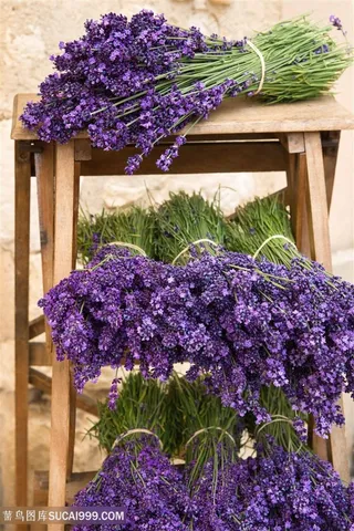 木凳上一束一束的薰衣草图片