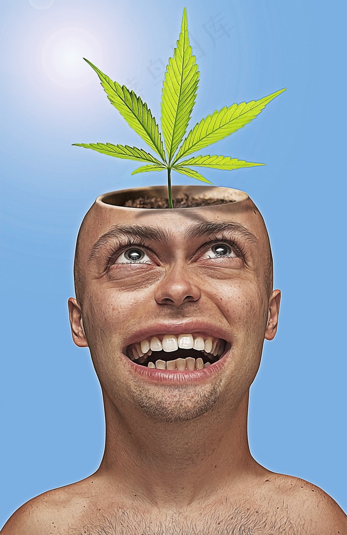 向阳而生另类图片