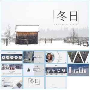 冬日主题个人工作总结报告ppt模板预览图