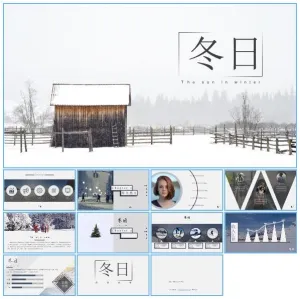 冬日主题个人工作总结报告ppt模板预览图