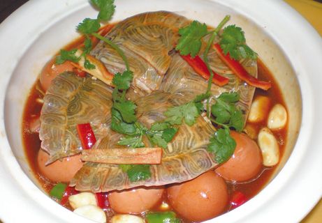 89XC-319土鸡蛋煨山龟