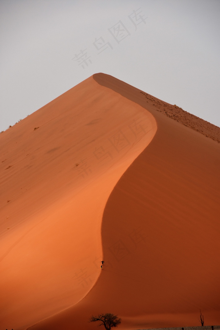 荒漠沙丘特写图片