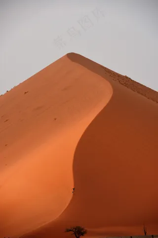 荒漠沙丘特写图片