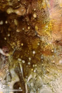 时尚抽象艺术挂画