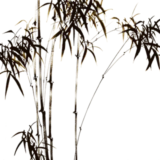 竹子水墨画中国风国画墨水书法竹子画