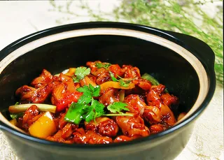 石锅煲类火锅川菜特色菜生者鸡煲