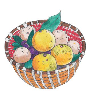 水果藤编框子彩色手绘 大丰收