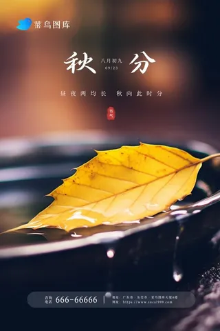 秋分意境秋叶黄色水滴大气节气海报