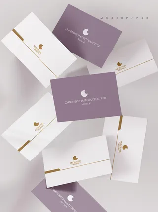 高端大气商务名片样机