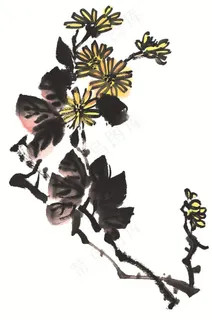 写意花卉大图图片素材 写意花卉大图图片素材