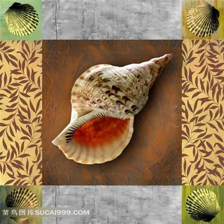 贝壳装饰画设计素材