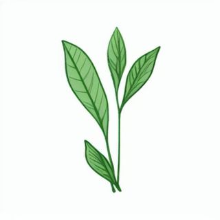 一小枝树叶png免抠