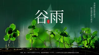 谷雨二十四节气海报设计